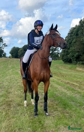 Galleribild {{count}}