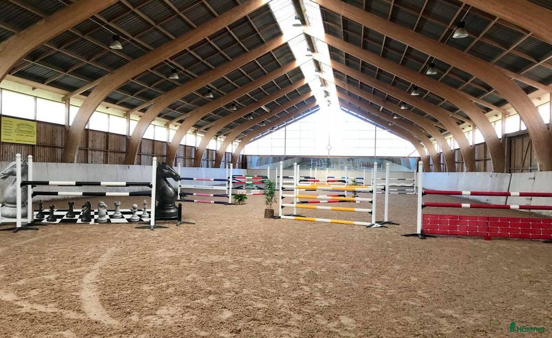  stallplats finnes: Stallplats i Eslöv i Eslöv - Bild 5