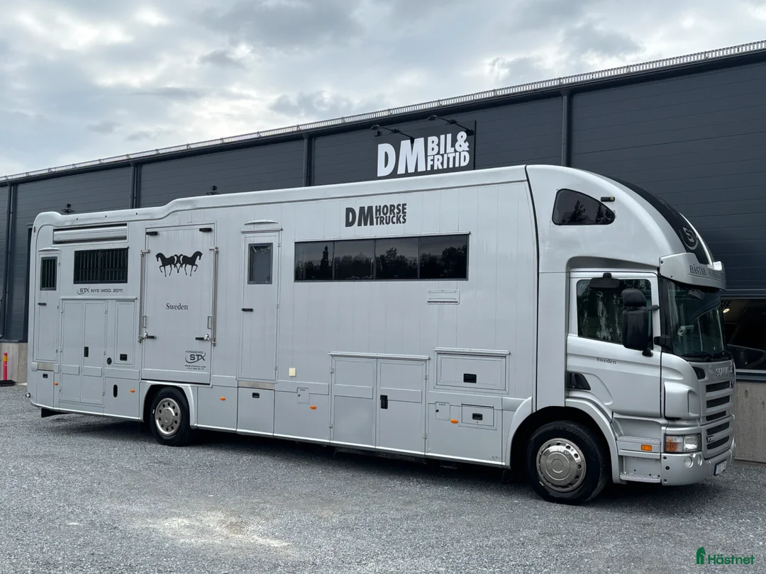 Hästlastbilar  fordon & transport till salu:  STX 6 hästar / Utskjut / Sadelskåp /Scania P380 i Mariefred - Annons 1