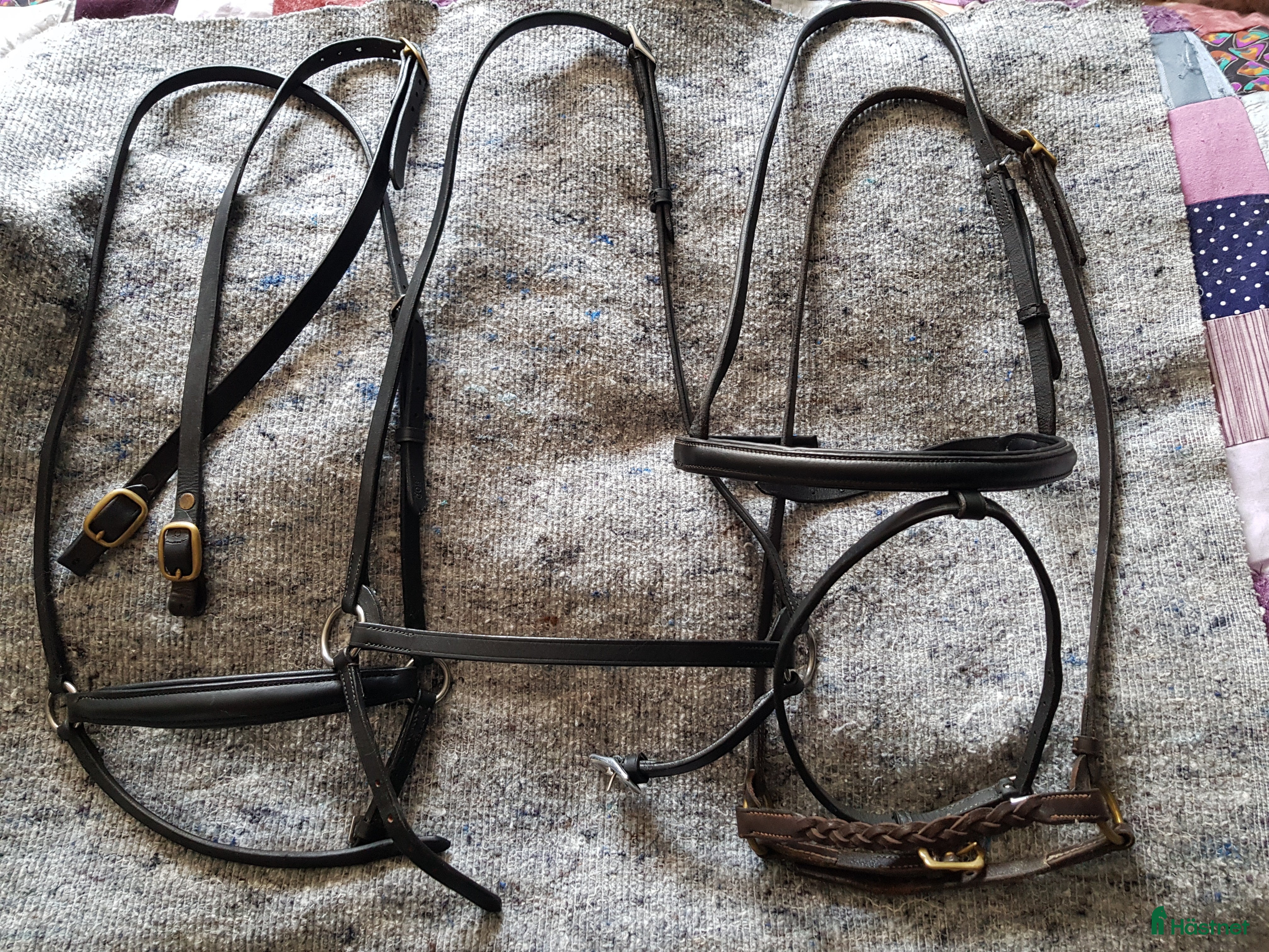 Träns hästutrustning till salu: Nosgrimmor svart och brun cob i Söråker - Annons 18