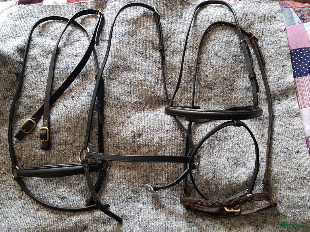 Träns hästutrustning till salu: Nosgrimmor svart och brun cob i Söråker - Annons 1