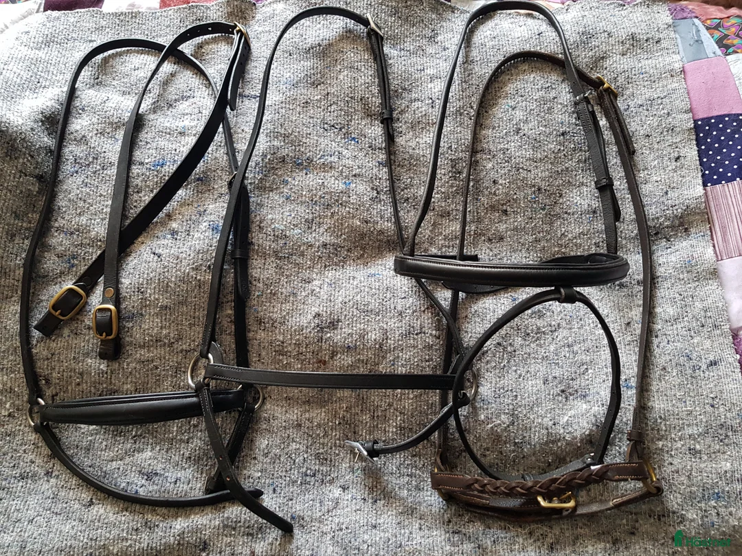 Träns hästutrustning till salu: Nosgrimmor svart och brun cob i Söråker - Annons 1