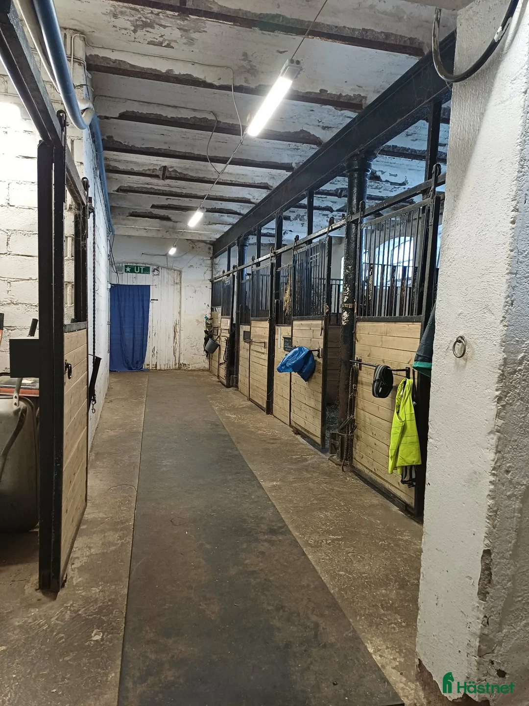  hästservice finnes: Hästhotell - Annons 2