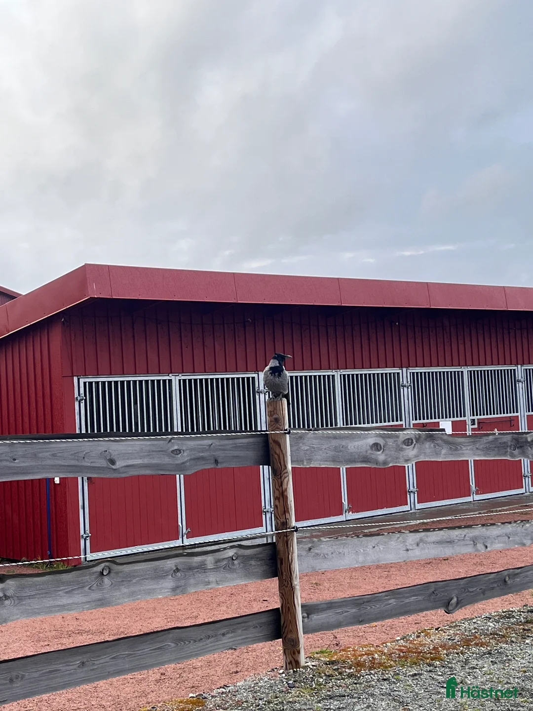  hästservice finnes: Städning & sanering av stall–Västerås/Västmanland i Västerås - Annons 1