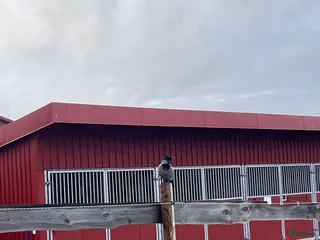 hästservice Städning & sanering av stall–Västerås/Västmanland i Västerås - Annons 10