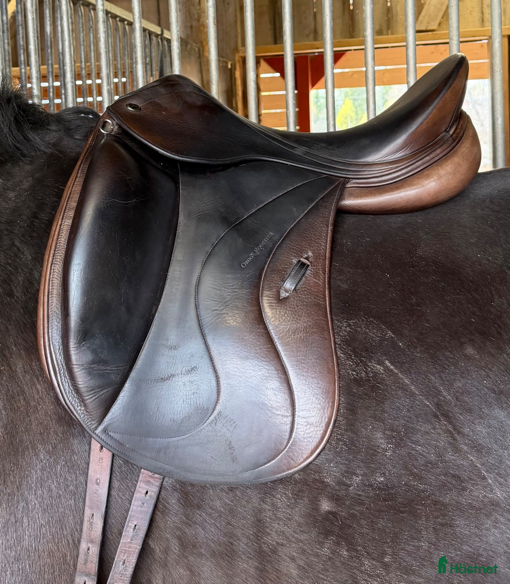 Sadlar hästutrustning Ordo Equester Venus dressyrsadel - Annons 15