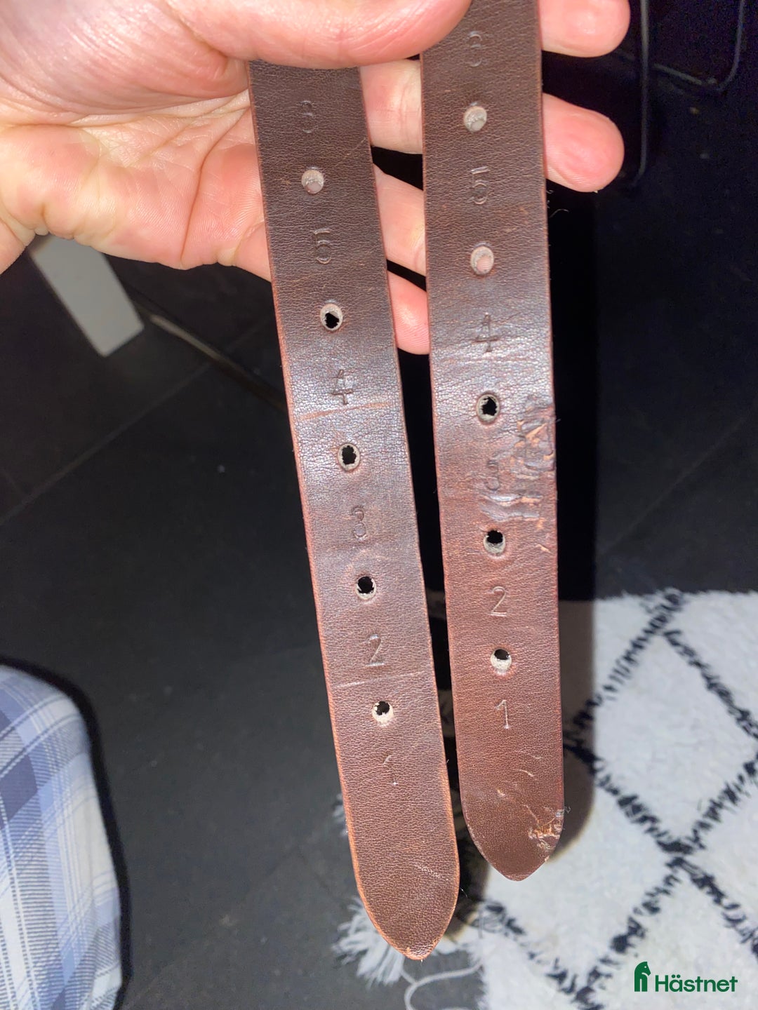 Sadlar hästutrustning till salu: TCS sadel i Höganäs - Annons 4