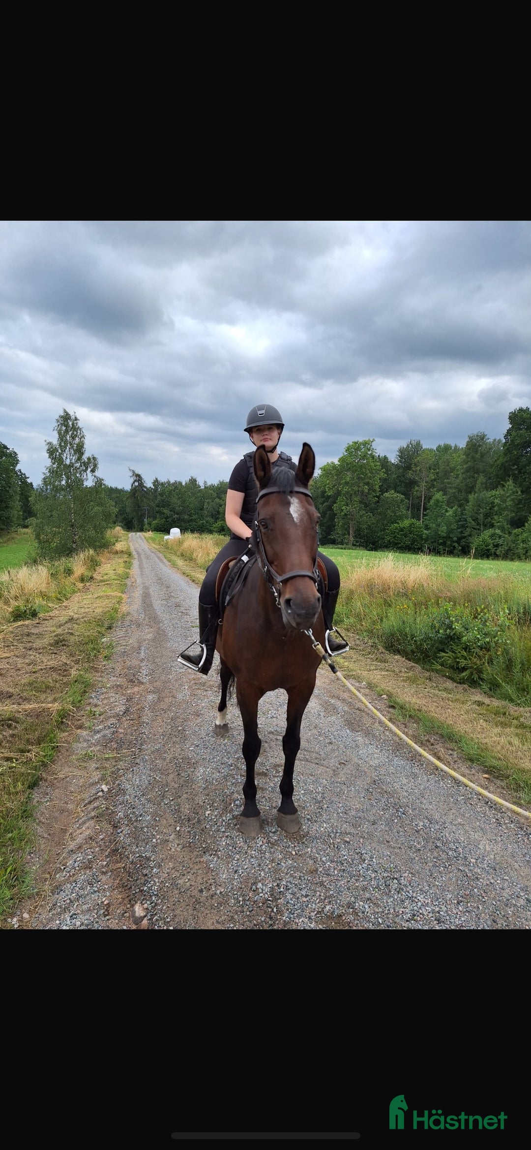 Galleribild {{count}}