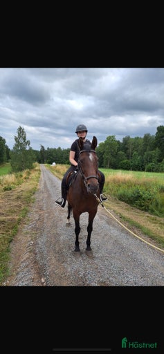 Galleribild {{count}}