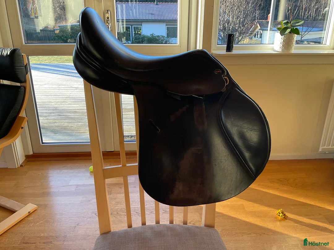 Sadlar hästutrustning till salu: Globus Noble Hoppsadel i Lindome - Annons 4