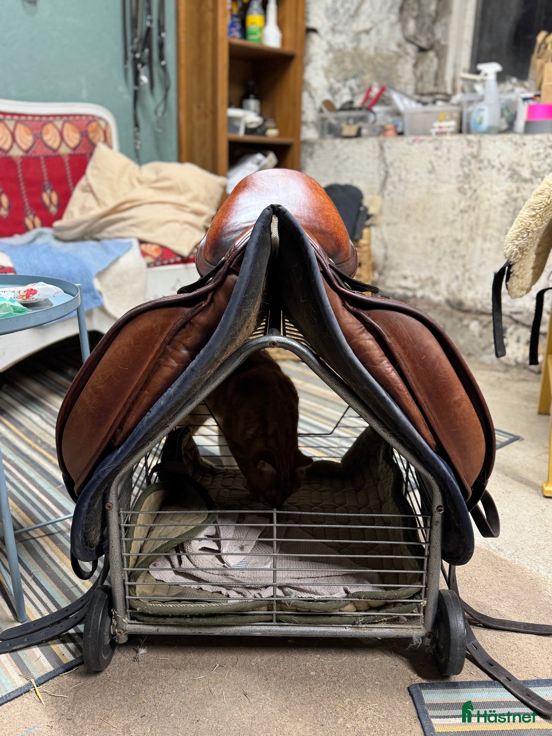 Sadlar hästutrustning till salu: Jaguar Dressyrsadel  i Uppsala - Annons 2