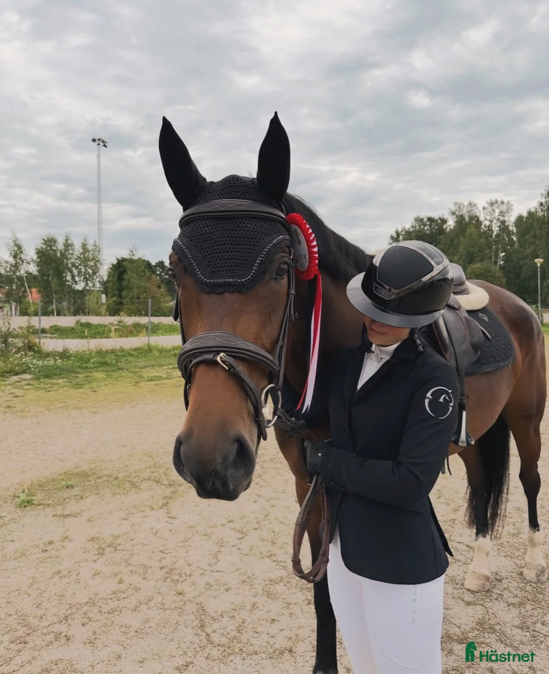 Hoppning hästar till salu: Tävlingshäst med stor kapacitet  - Annons 2