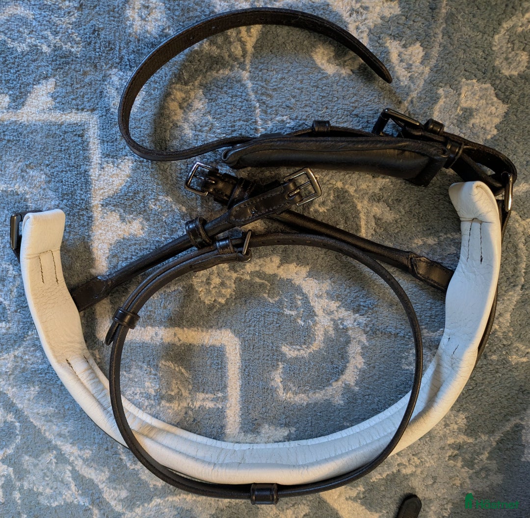 Träns hästutrustning till salu: PS träns GP + nosgrimma Paragon i Visby - Annons 3