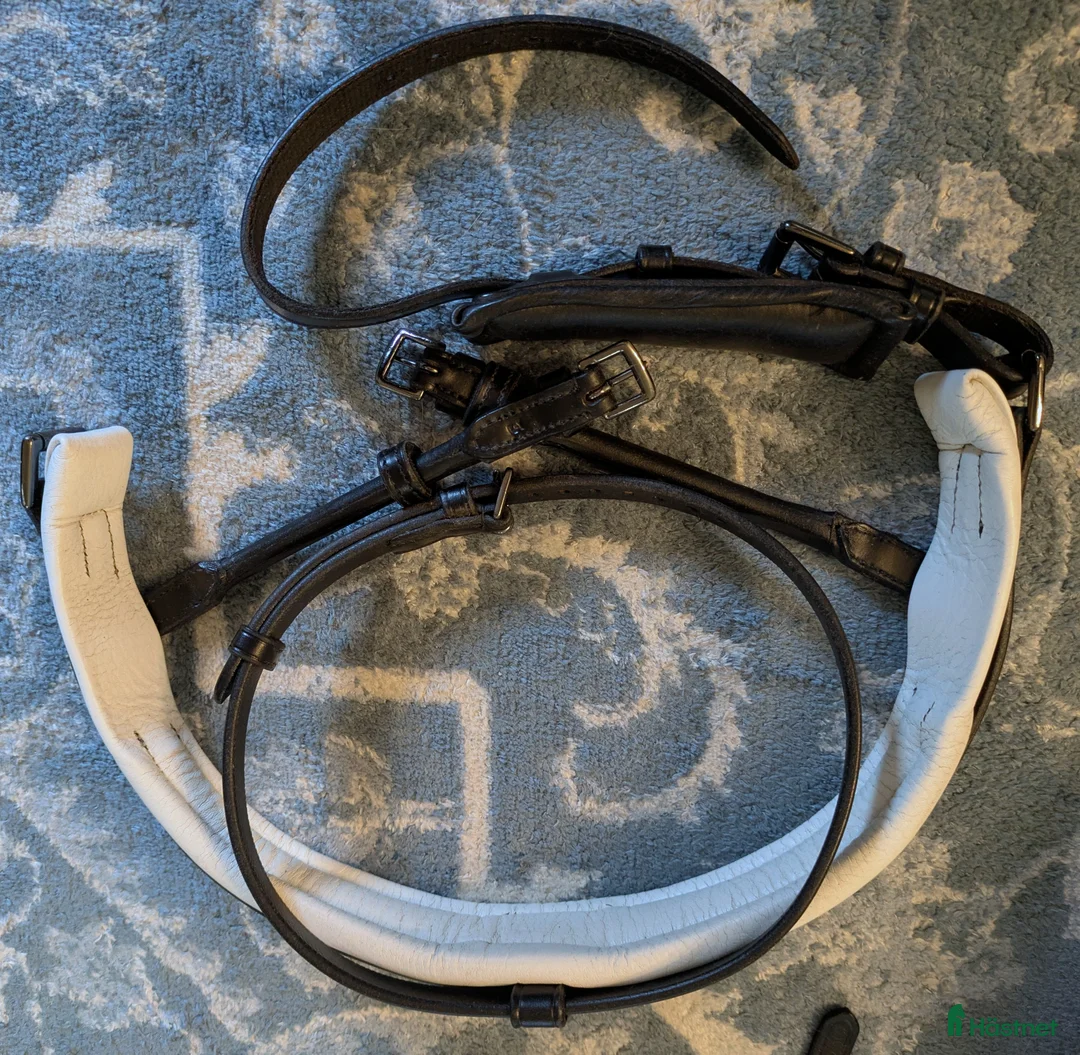 Träns hästutrustning till salu: PS träns GP + nosgrimma Paragon i Visby - Annons 3