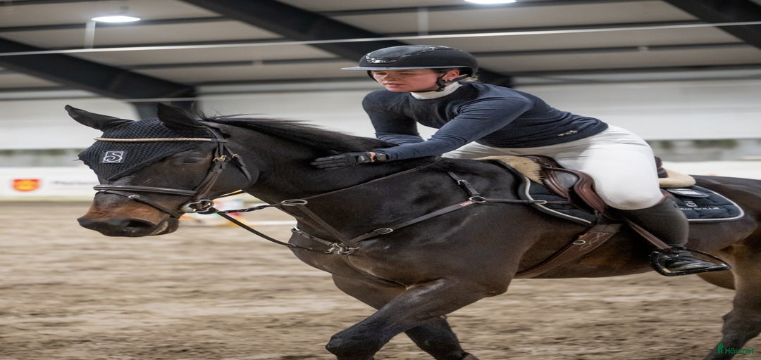 Galleribild {{count}}