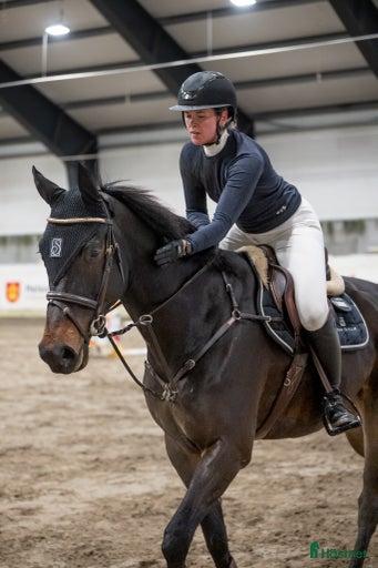 Galleribild {{count}}