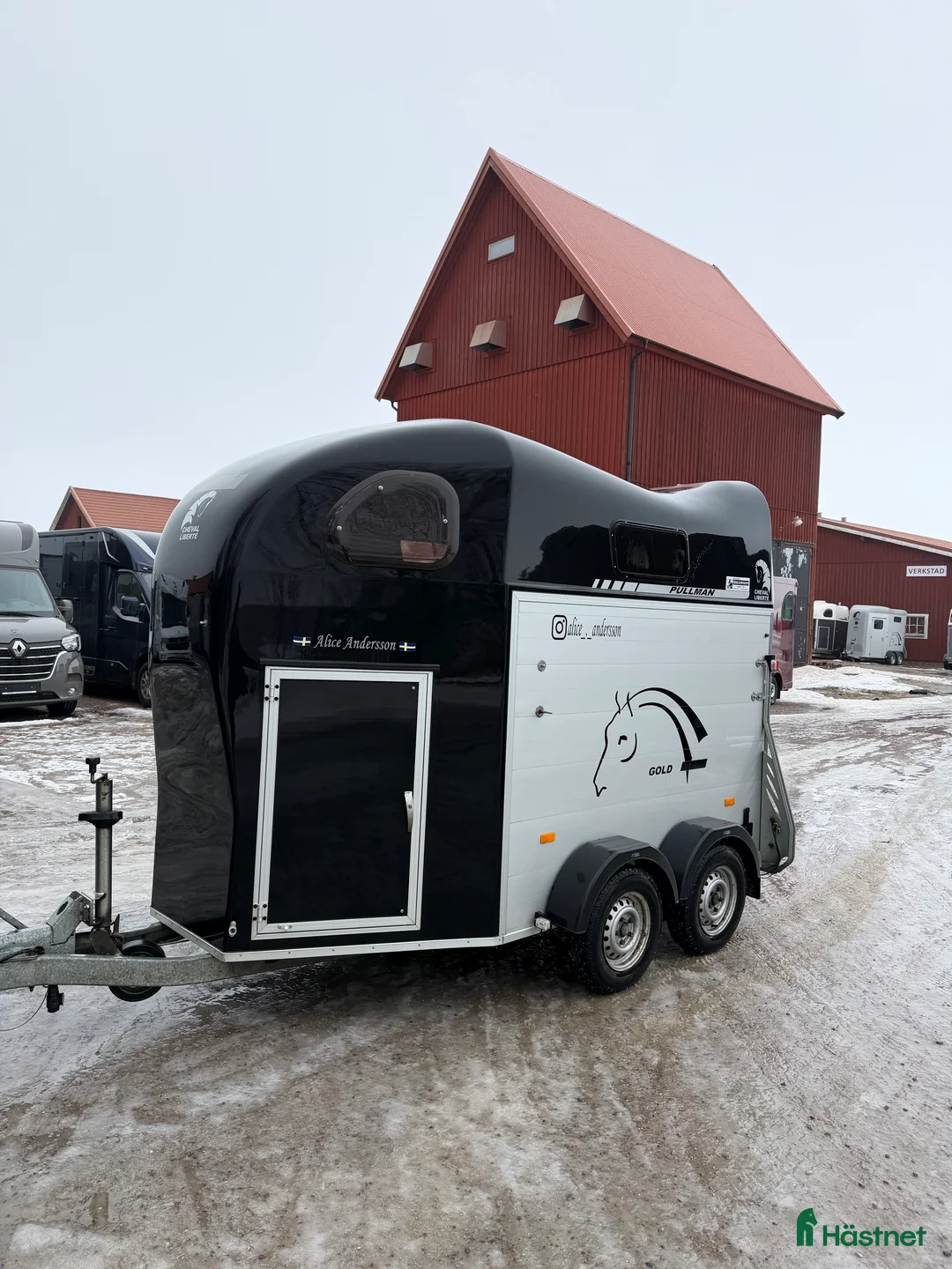 Hästtransporter  fordon & transport till salu: Populära Cheval gold 2 hästtransport  - Annons 1