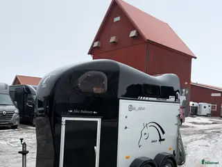 Hästtransporter fordon & transport till salu: Populära Cheval gold 2 hästtransport - Annons 3