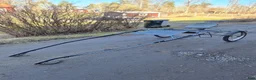 Travvagnar trav till salu: (TINGAD)Royal Speedcart/långsamvagn  - Annons 1