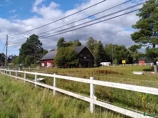 stallplats Två-Tre stallplatser i Tungelsta uthyres. - Annons 11