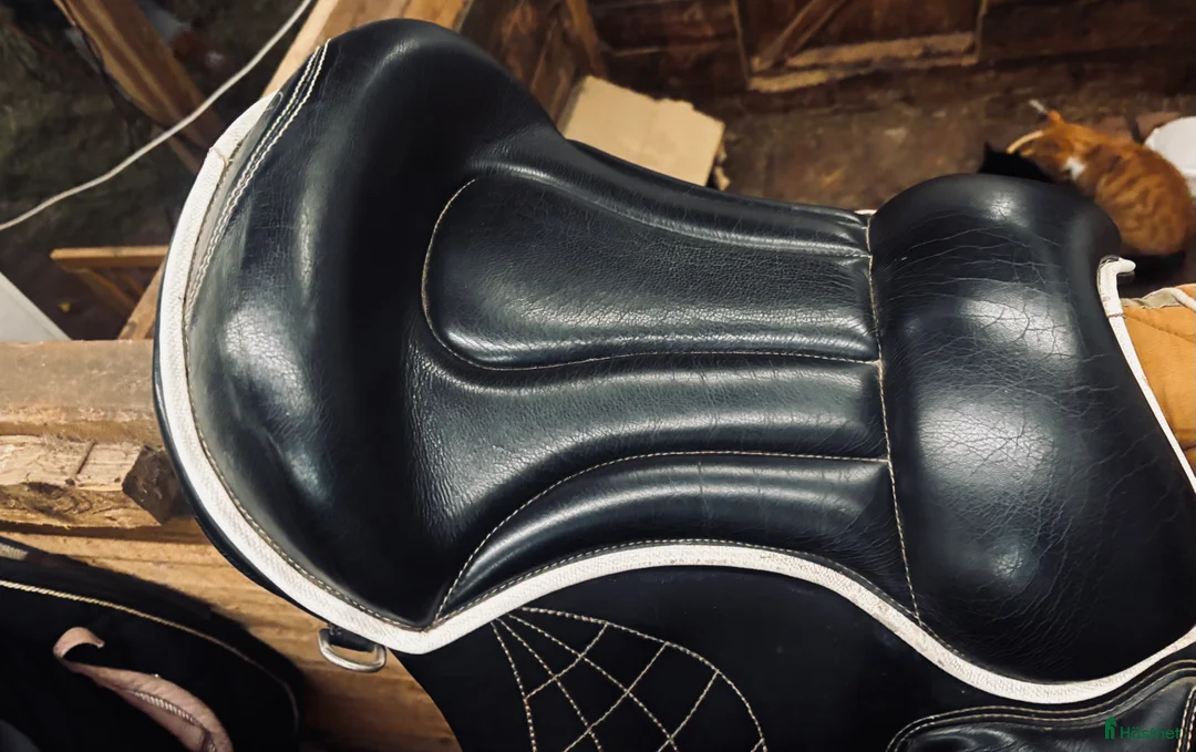 Sadlar hästutrustning till salu: Taur gaiter i Skillingaryd - Annons 2