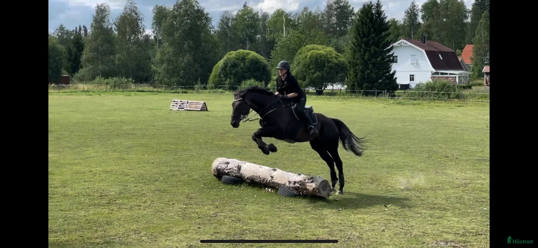  stallplats finnes: Lösdrift i Stavby i Alunda - Annons 2