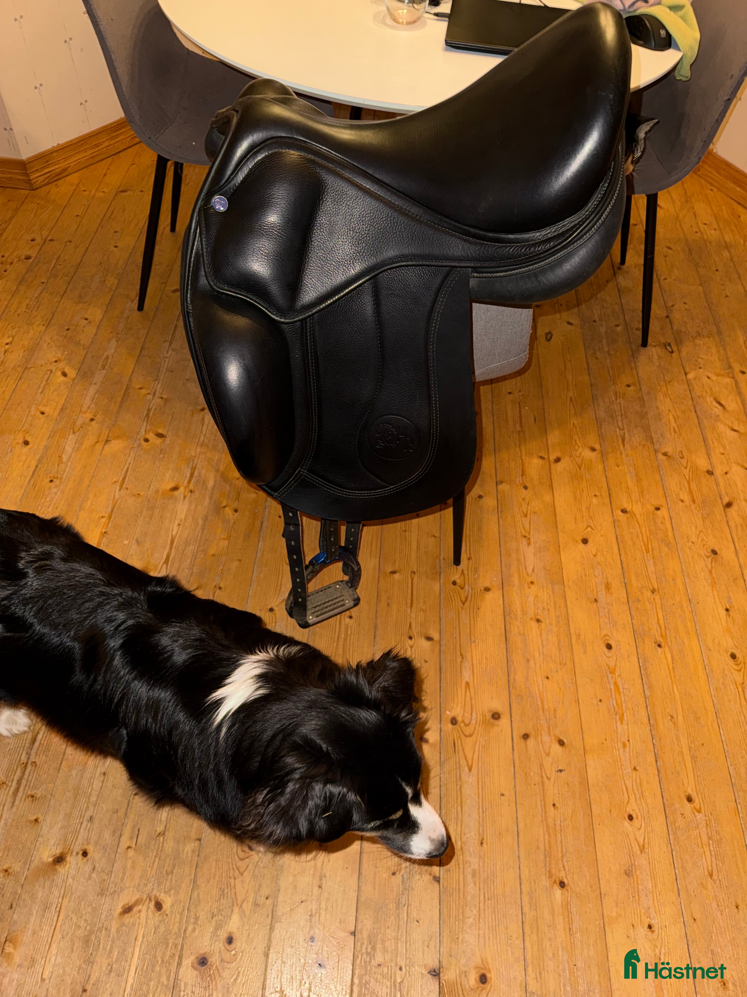 Sadlar hästutrustning till salu: Hr von 17.5 i Torestorp - Annons 4