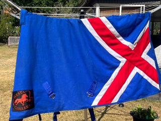 Täcken hästutrustning till salu: Hesta islandstäcke i Ljungbyholm - Annons 1