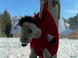 Övrig utrustning övrig utrustning till salu: Barn ryggsäck - Annons 3