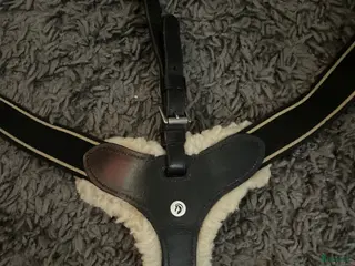 Sadeltillbehör hästutrustning Förbygel - Annons 5