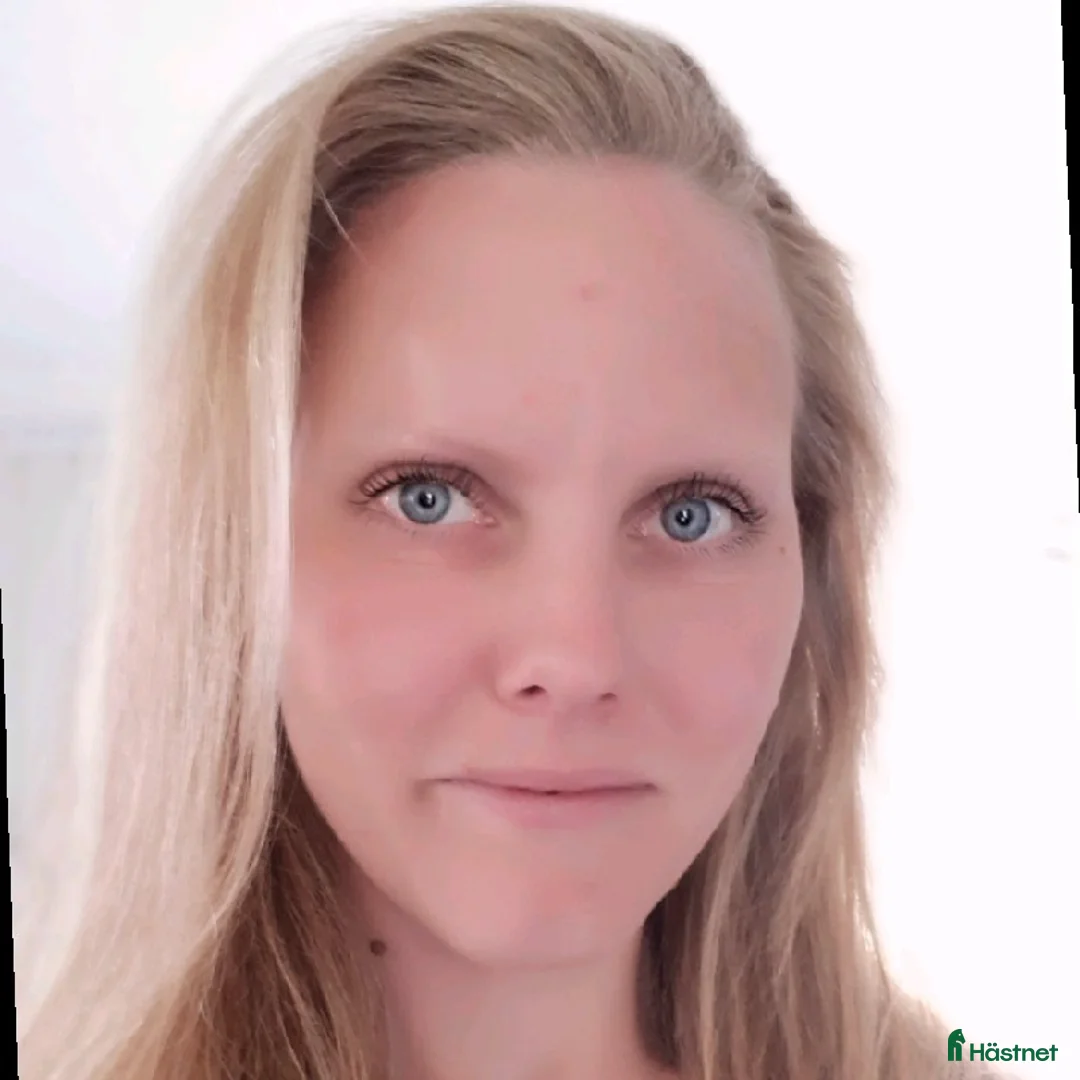 Galleribild {{count}}