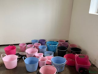 Stallinredning, stängsel & gård övrig utrustning till salu: Hinkar/krubbor i Frillesås - Annons 11