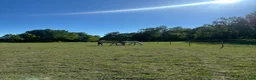  stallplats finnes: Ledig stallplats i fantastisk miljö!  - Annons 1