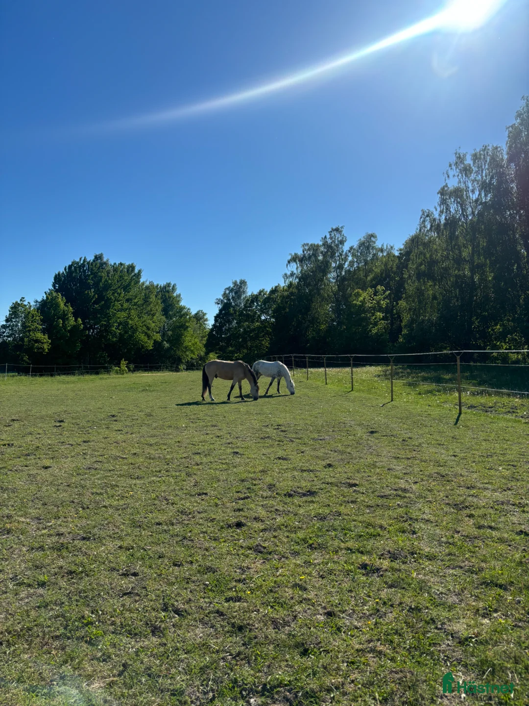  stallplats finnes: Ledig stallplats i fantastisk miljö!  - Annons 1