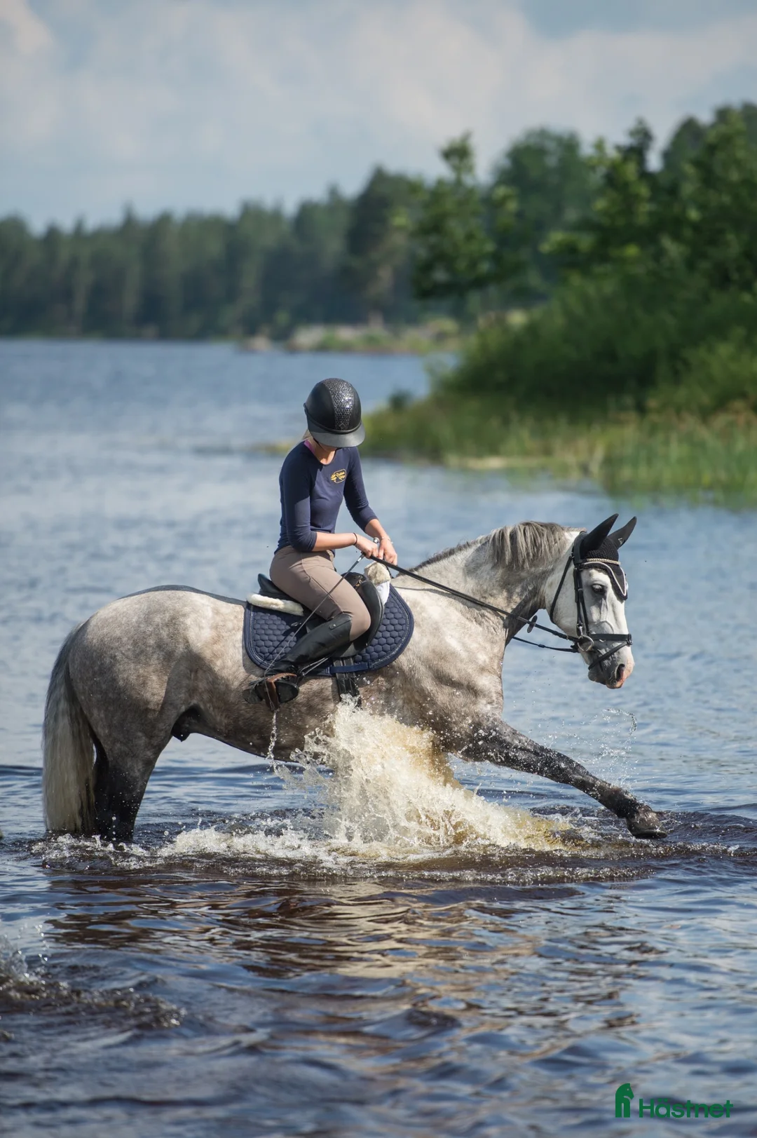 Hoppning hästar till salu: Tävlingsponny med utstrålning - Annons 2