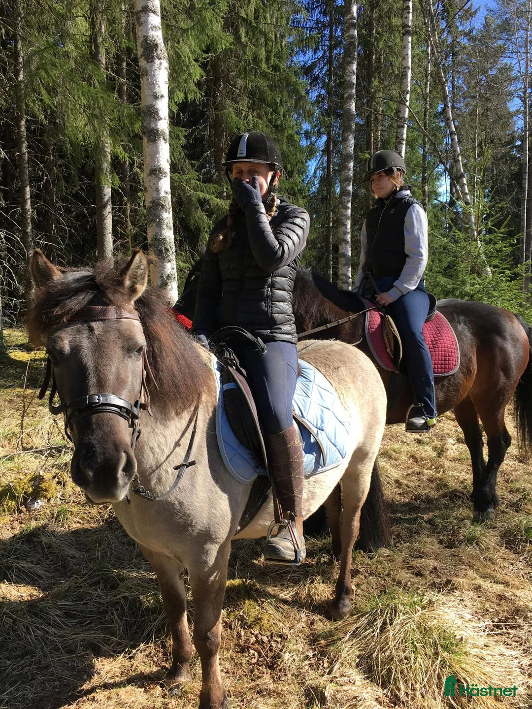 Hoppning hästar till salu: Charmig ponny för den tuffa ryttaren! - Annons 2