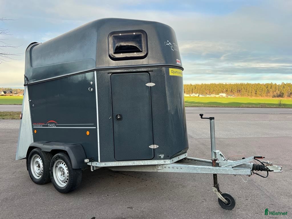 Hästtransporter  fordon & transport till salu: Thiel Domino i fint skick!  - Annons 3
