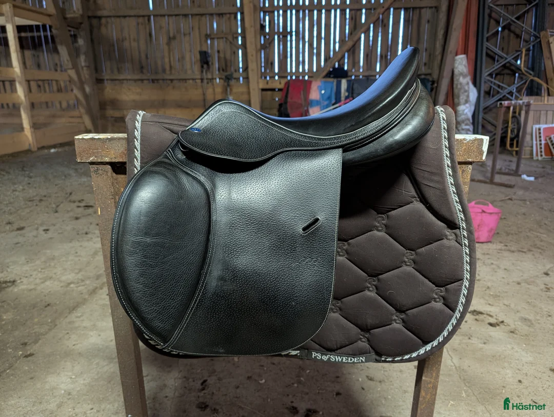 Sadlar hästutrustning till salu: Lippo Enzo 17"W - Annons 2