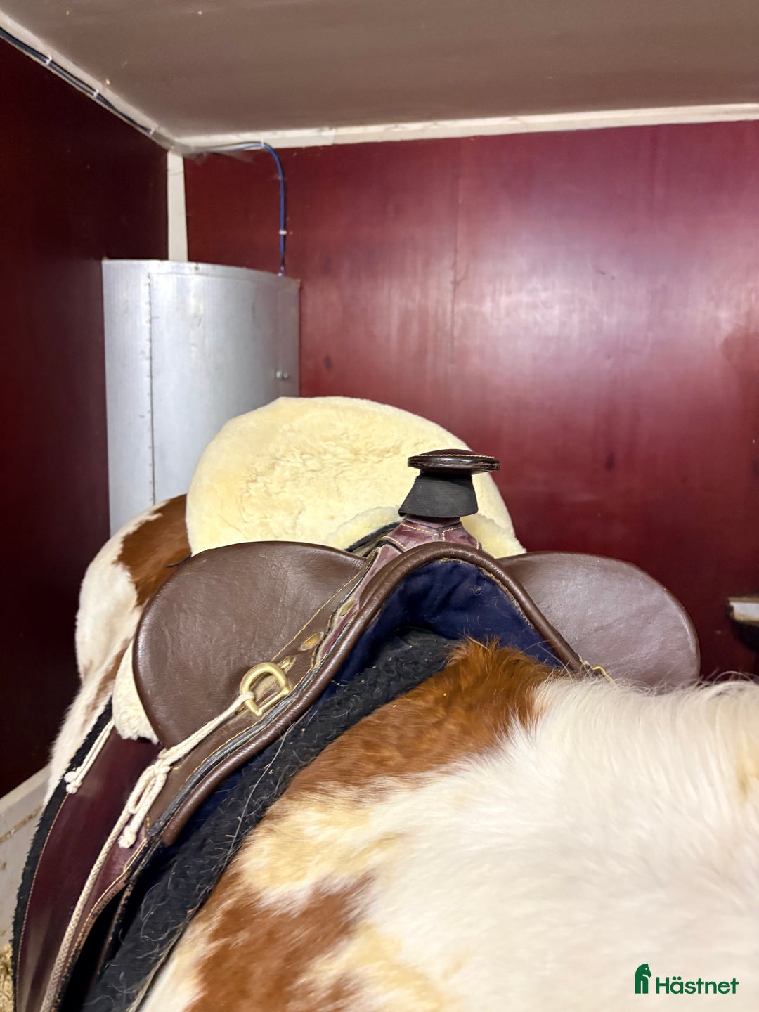 Sadlar hästutrustning till salu: Stocksadel med horn extremt bekväm  i Habo - Annons 8