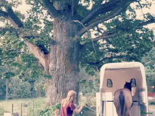 hästservice Problemlösning, (in)ridning, lastträning m.m i Sturefors - Annons 10