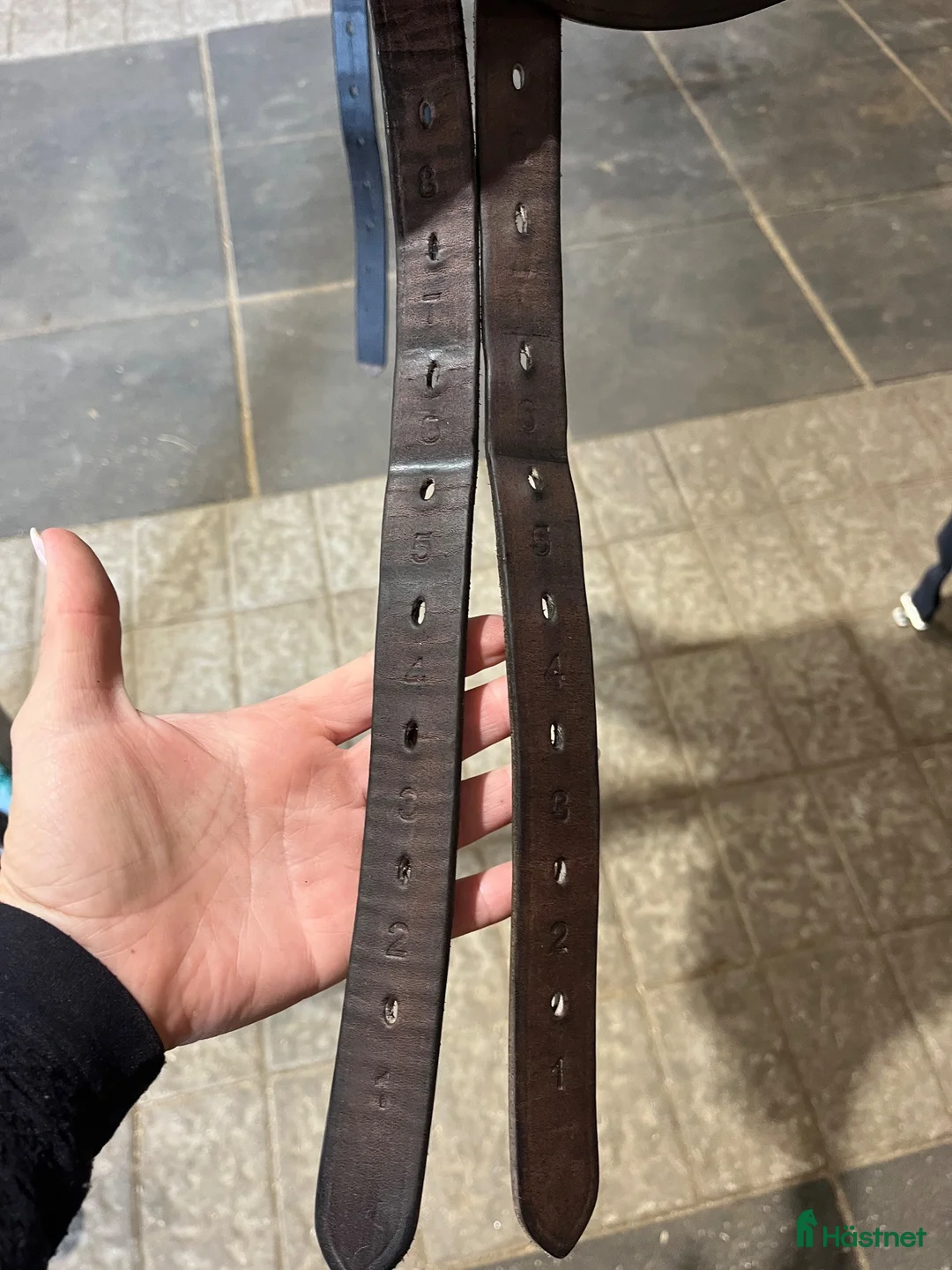 Sadlar hästutrustning till salu: Aurora Ordo dressyrsadel från Aviar Saddles. - Annons 2