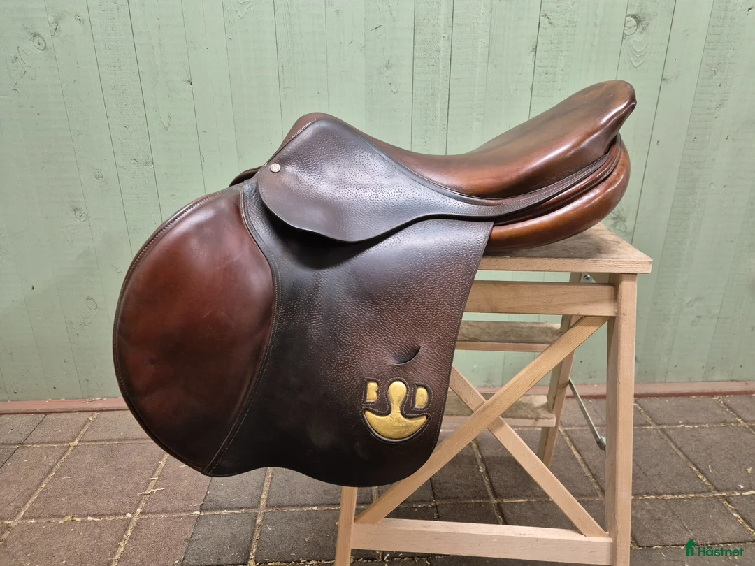 Sadlar hästutrustning till salu: Bruno Delgrange - Annons 1