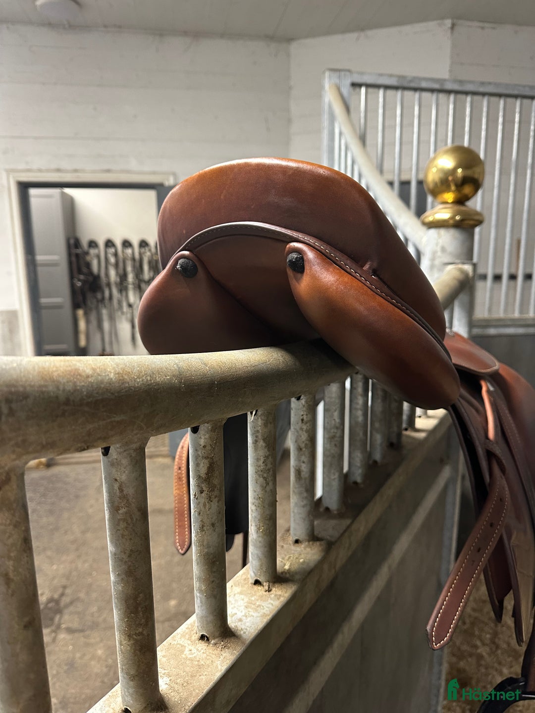 Sadlar hästutrustning till salu: Renissance 17’ i Norrtälje - Annons 2