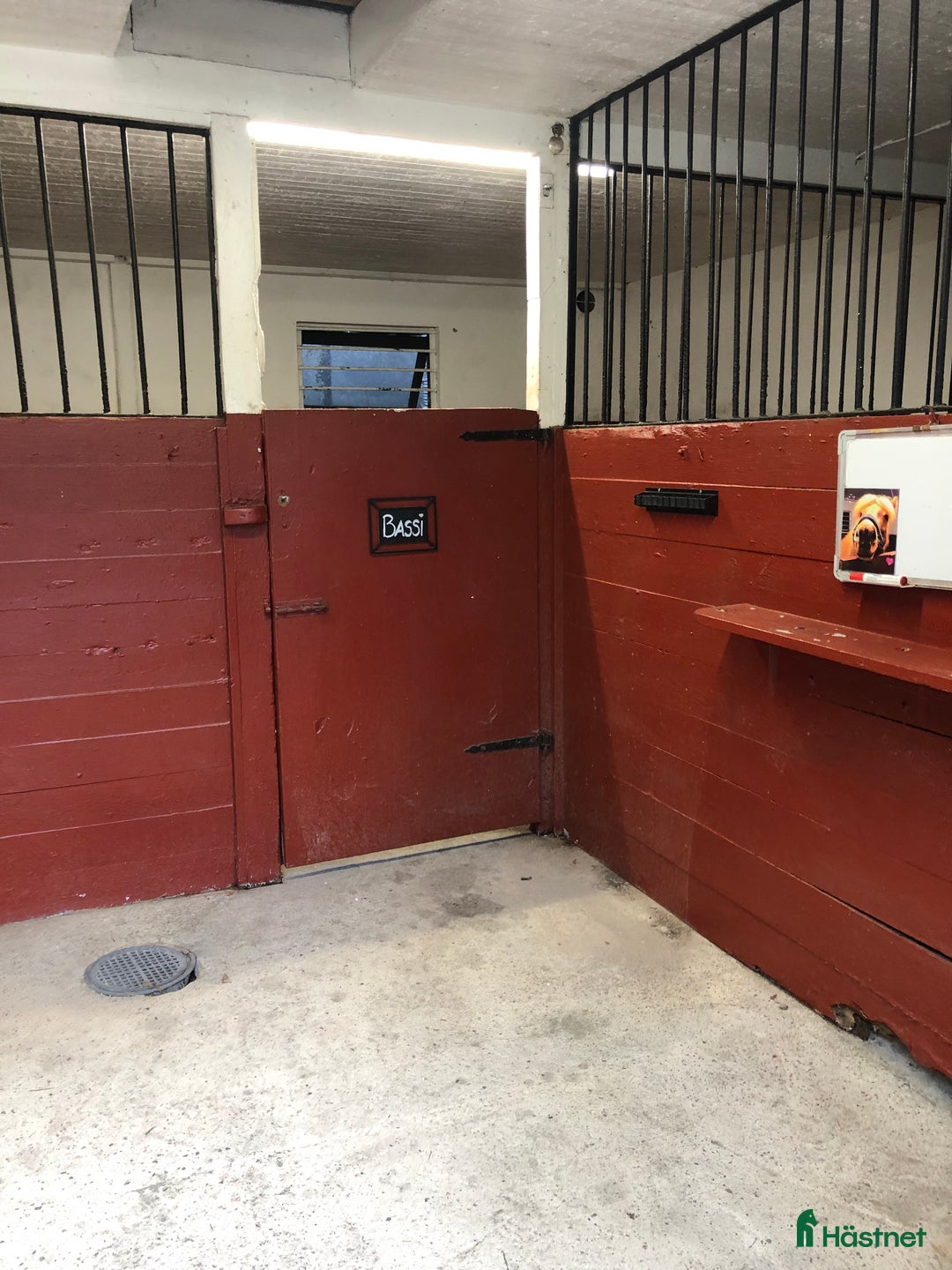  stallplats finnes: Stallplats uthyres till Islandshäst / ponny  i Mölnlycke - Annons 4