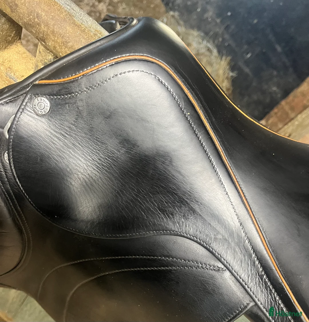 Sadlar hästutrustning till salu: Equipe Expression - Annons 2