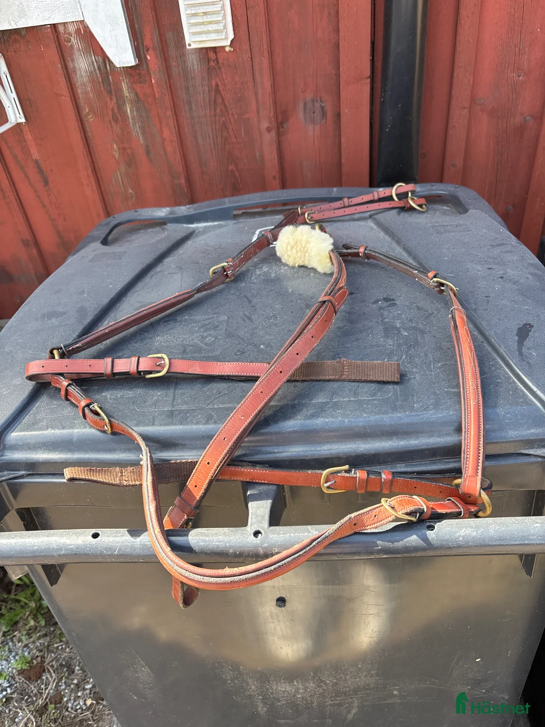 Träns hästutrustning till salu: Förbygel med martingal Glen Gordon  - Annons 3