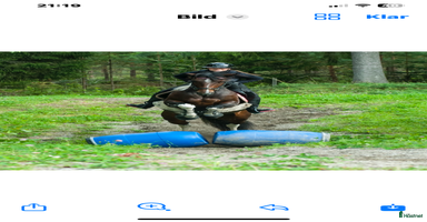  hästar i Alsen - Annons 8