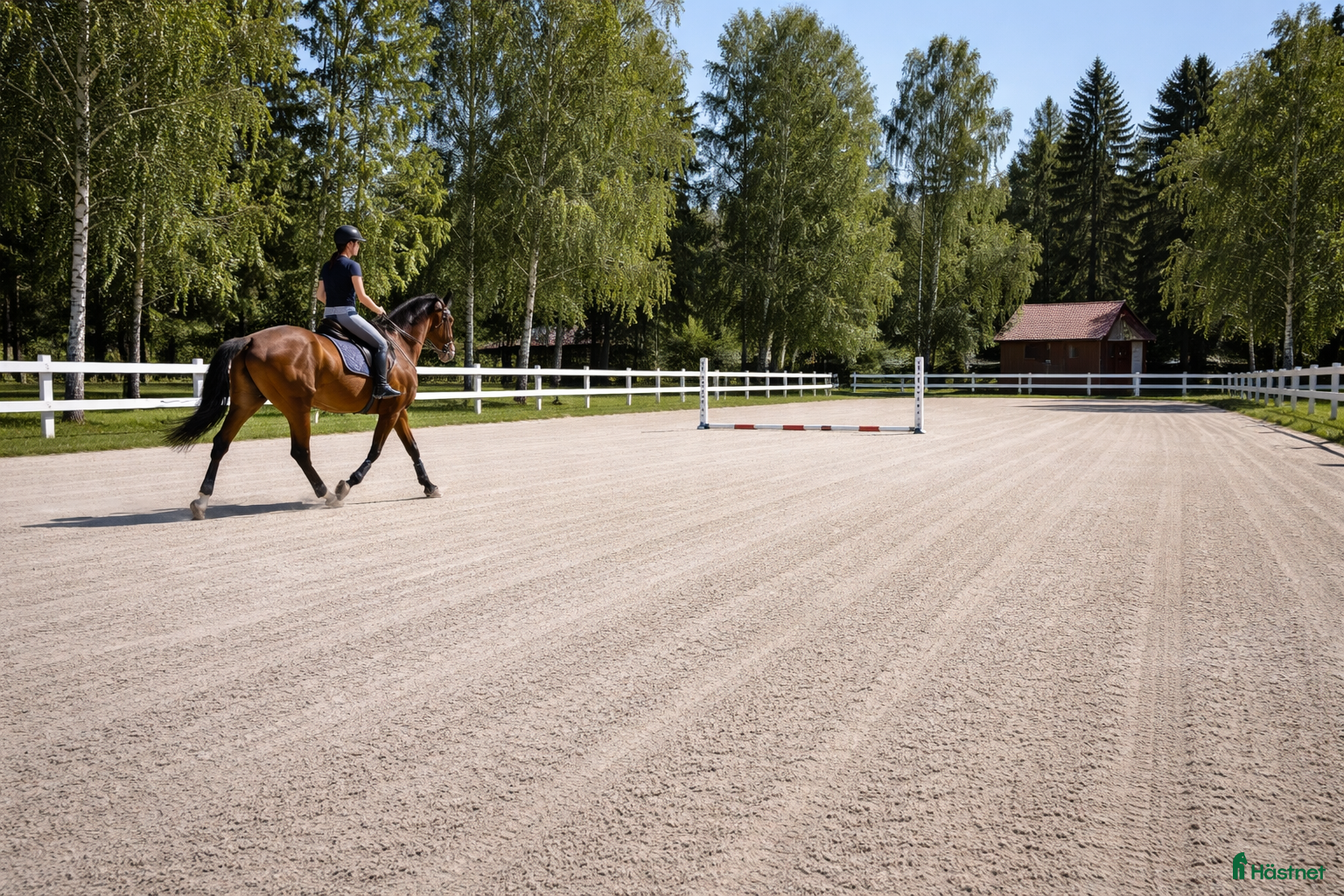 Stallinredning, stängsel & gård övrig utrustning till salu: Magnesiumklorid  - Annons 2