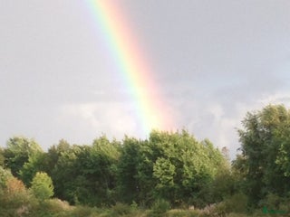 hästar Bästa vän sökes i Tvååker - Annons 15