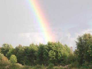 hästar Bästa vän sökes⭐️ - Annons 14